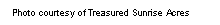 Text Box: Photo courtesy of Treasured Sunrise Acres