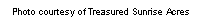Text Box: Photo courtesy of Treasured Sunrise Acres