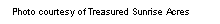 Text Box: Photo courtesy of Treasured Sunrise Acres