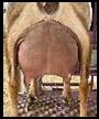 IMG_1280.jpeg