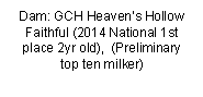 Text Box: Dam: GCH Heaven’s Hollow Faithful (2014 National 1st place 2yr old),  (Preliminary top ten milker)