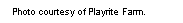Text Box: Photo courtesy of Playrite Farm.  